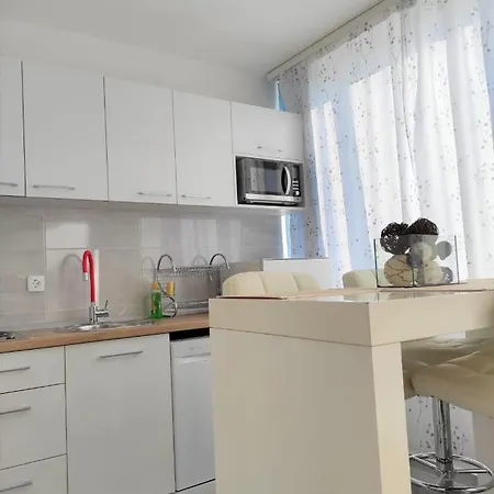 Dalmato * Makarska